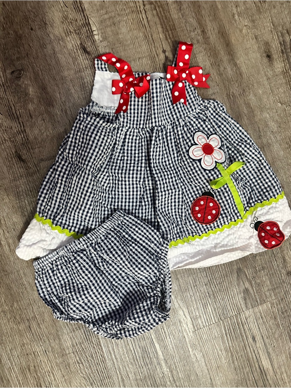 Rare Edition Baby Girls Gingham Ladybug Daisy Dress & Bloomer Set Size 6-9M